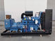 Manutenzione semplice un generatore diesel di 30 chilowatt 37,5 KVA 60 hertz 12 mesi di garanzia