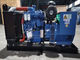 200kw generatore diesel blu Leroy Somer Alternator Electric Generating Set