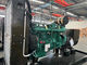 60 consegna rapida diesel di raffreddamento ad acqua del IP 21 del gruppo elettrogeno di hertz  1800 giri/min.