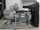 1000 chilowatt Perkins Diesel Power Generator 1250 KVA con l'alternatore di Stamford