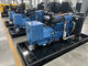 20 generatore a diesel di chilowatt WEICHAI affidabilità diesel del gruppo elettrogeno di alta